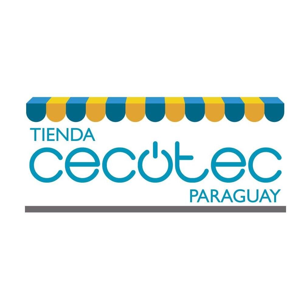 Freidora Sin Aceite Cecofry Advance Precision - 3214 - Tienda Cecotec  Paraguay